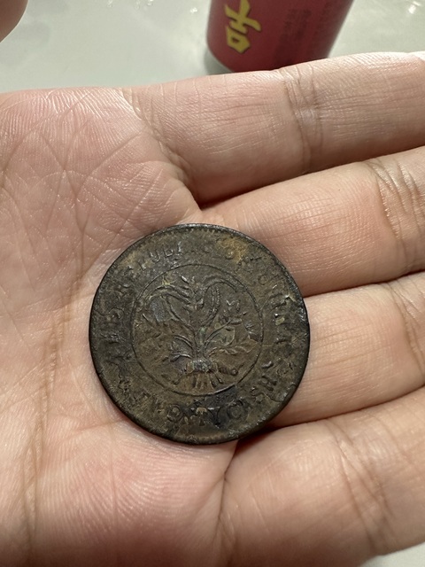 古玩錢幣湖南省造雙旗銅元真品鑒賞圖