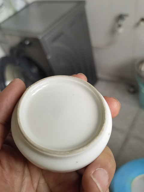 古玩陶瓷清晚期 粉彩花卉紋水盂真品鑒賞圖