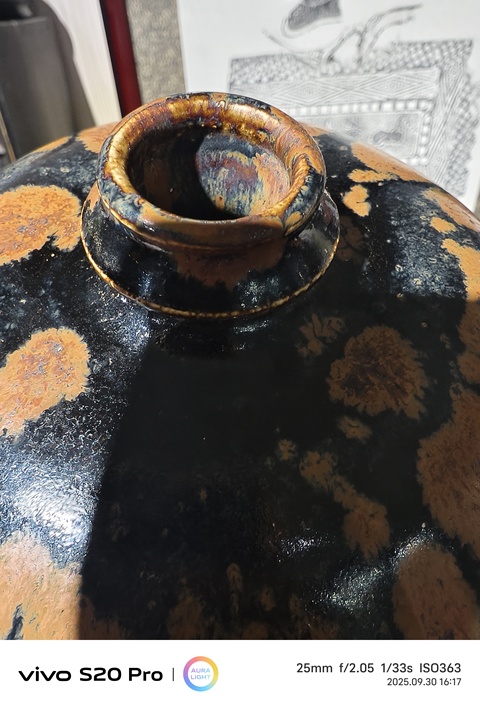 古玩陶瓷鐵銹花嘟嚕瓶真品鑒賞圖
