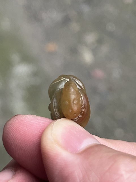 古玩玉器仿古玉掛件真品鑒賞圖