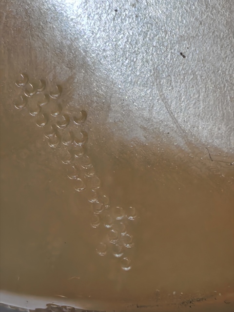 古玩玉器和田玉糖白玉山水樓閣擺件真品鑒賞圖