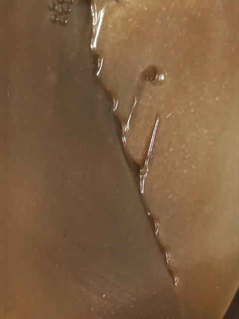 古玩玉器和田玉糖白玉山水樓閣擺件真品鑒賞圖