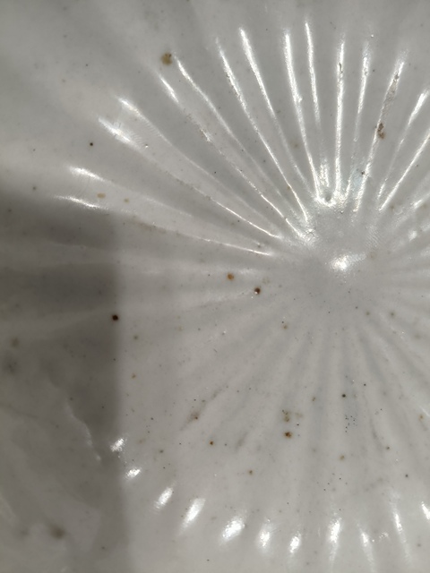 古玩陶瓷清代 白釉菊瓣盤（日本瓷）真品鑒賞圖