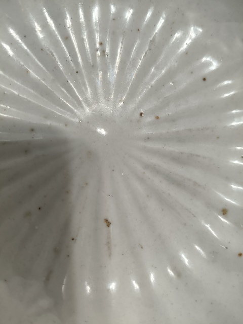 古玩陶瓷清代 白釉菊瓣盤（日本瓷）真品鑒賞圖