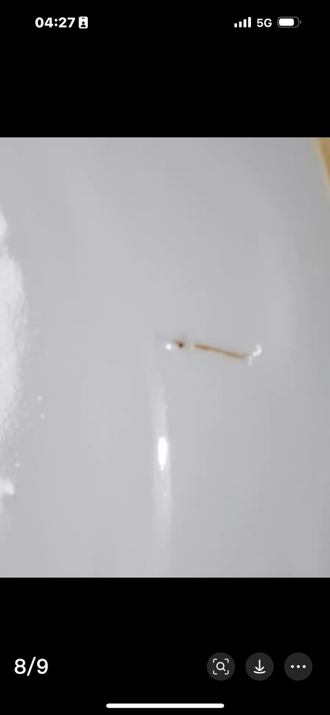 古玩陶瓷粉彩花卉紋品鍋真品鑒賞圖