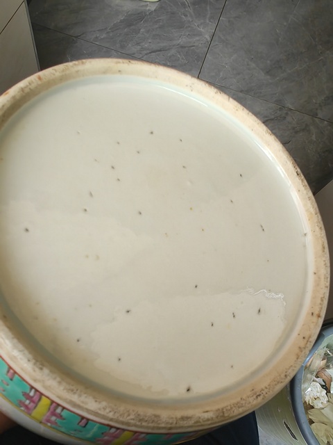 古玩陶瓷罐真品鑒賞圖