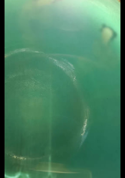 古玩陶瓷松石綠粉彩人物紋碗真品鑒賞圖