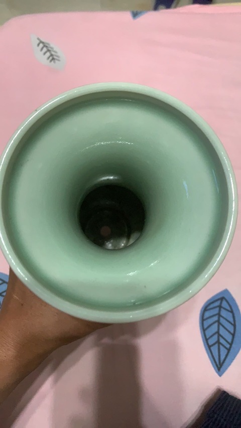 古玩陶瓷青釉雙耳盤口瓶真品鑒賞圖