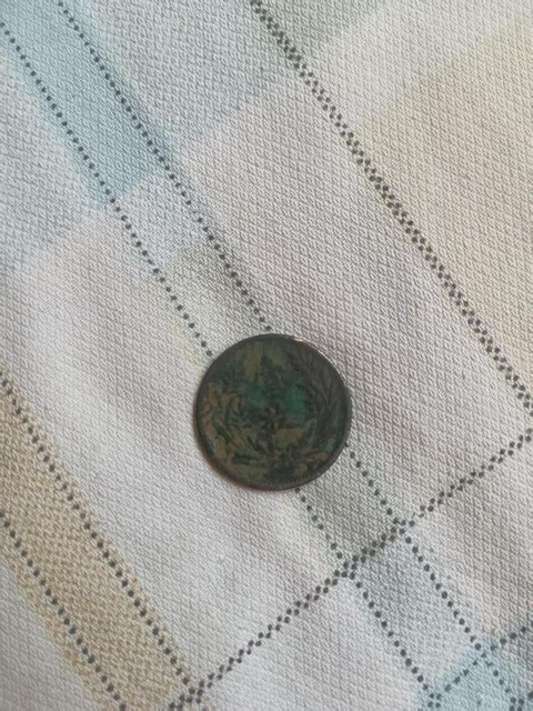 古玩錢幣中華民國壹枚銅元真品鑒賞圖