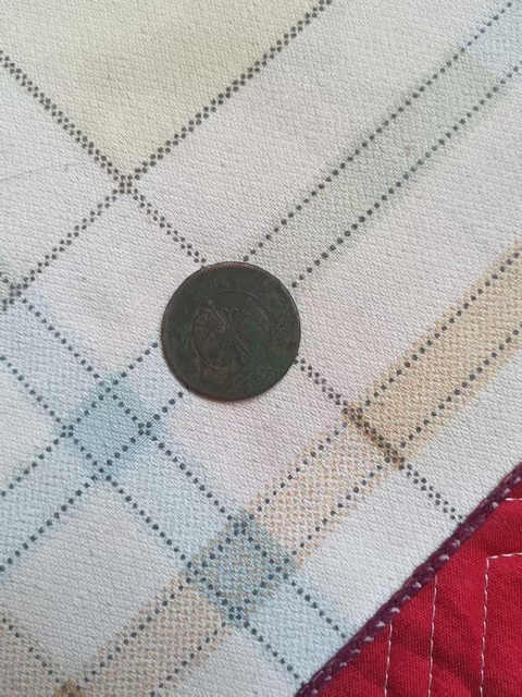 古玩錢幣中華民國壹枚銅元真品鑒賞圖