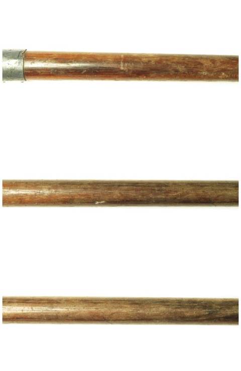 古玩雜項(xiàng)拐杖真品鑒賞圖