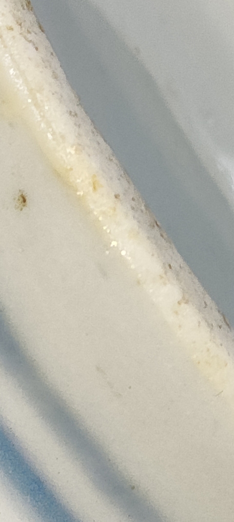 古玩陶瓷青花水盂真品鑒賞圖