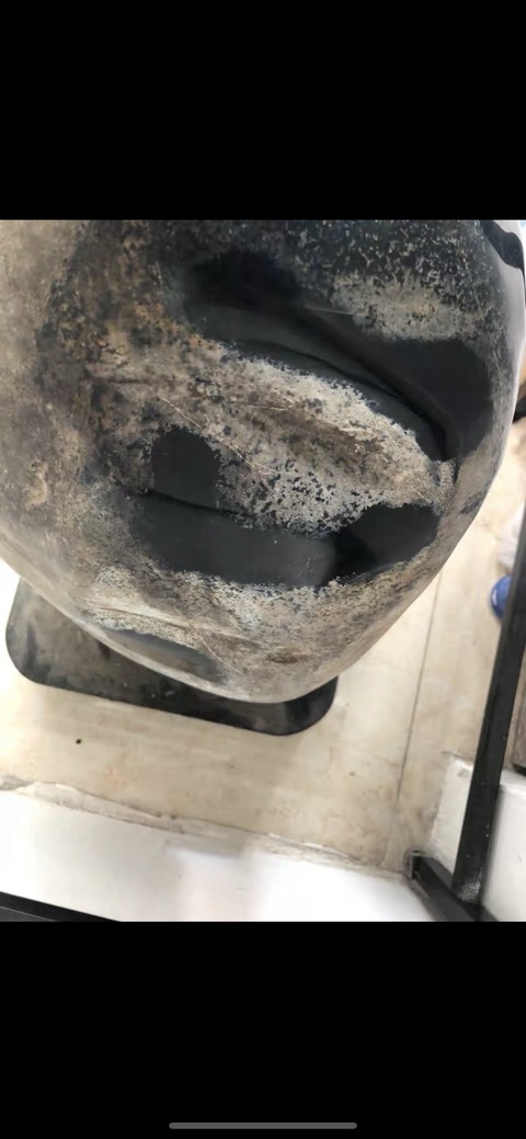 古玩玉器墨玉真品鑒賞圖