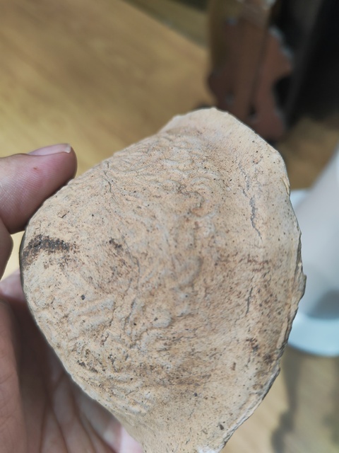 古玩陶瓷陶模真品鑒賞圖