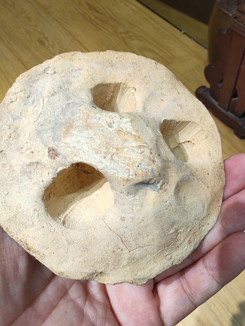 古玩陶瓷陶模真品鑒賞圖