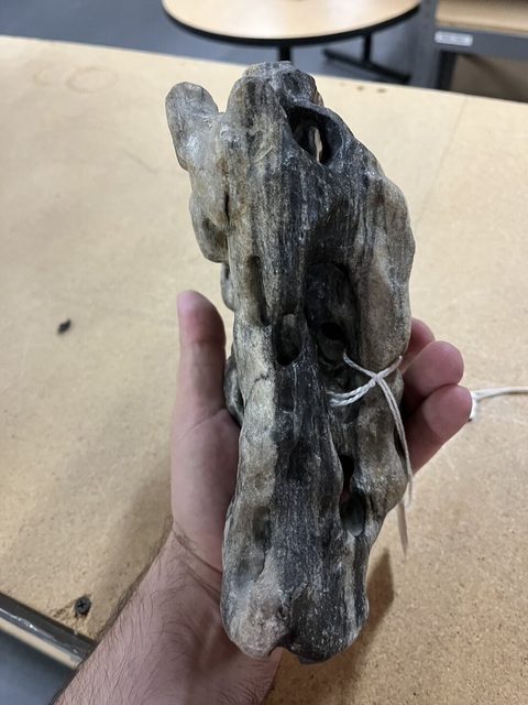 古玩雜項賞石真品鑒賞圖