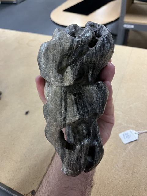 古玩雜項賞石真品鑒賞圖