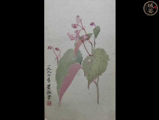 古玩字畫蕭淑芳花卉真品鑒賞圖
