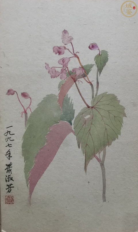 古玩字畫蕭淑芳花卉真品鑒賞圖