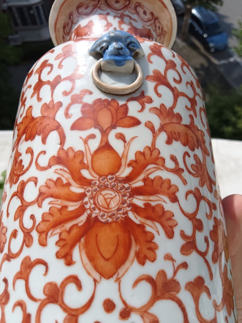 古玩陶瓷礬紅纏枝花卉雙耳瓶真品鑒賞圖