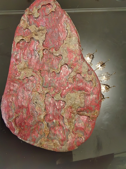 古玩雜項雞血石原石真品鑒賞圖