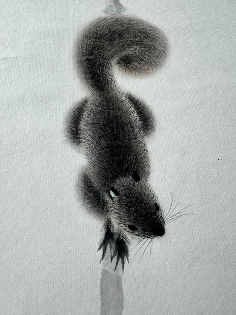 古玩字畫(huà)活潑松鼠真品鑒賞圖