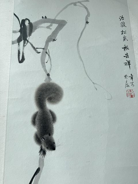 古玩字畫(huà)活潑松鼠真品鑒賞圖