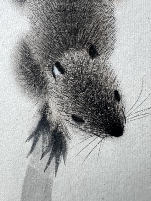 古玩字畫(huà)活潑松鼠真品鑒賞圖