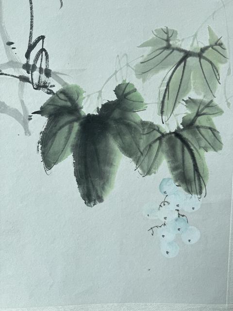 古玩字畫(huà)活潑松鼠真品鑒賞圖