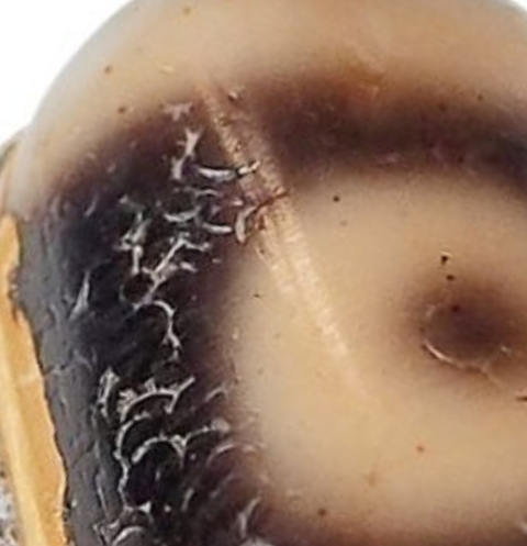 古玩玉器新工藝天珠鑲嵌戒指真品鑒賞圖