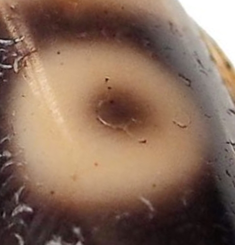 古玩玉器新工藝天珠鑲嵌戒指真品鑒賞圖