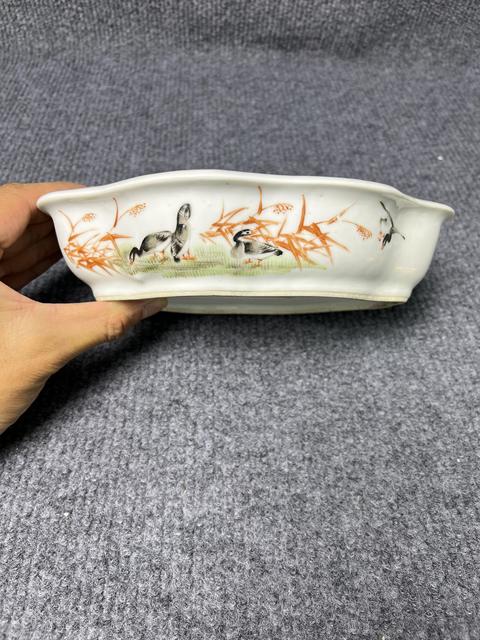 古玩陶瓷粉彩飛鳴食宿旭日東升水仙盆拍賣，當(dāng)前價(jià)格2588元