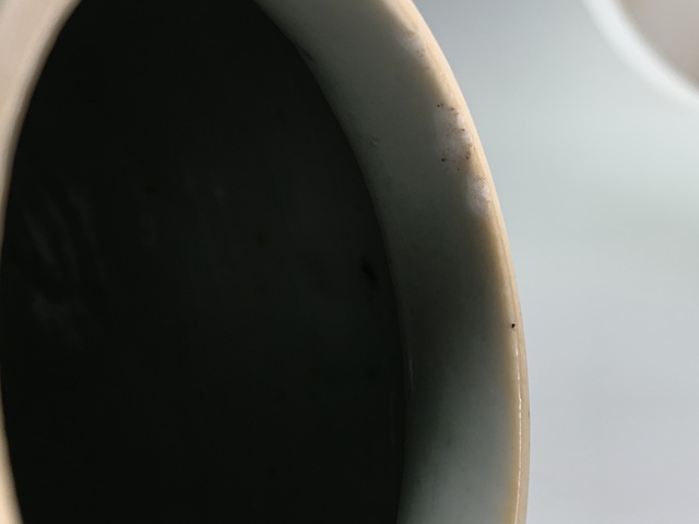 古玩陶瓷清晚期·青花冰梅開窗人物紋罐真品鑒賞圖