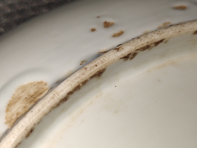 古玩陶瓷纏枝蓮紋盤真品鑒賞圖