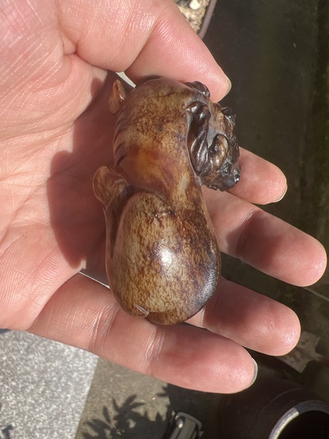 古玩玉器提油仿古“玉牛”擺件真品鑒賞圖
