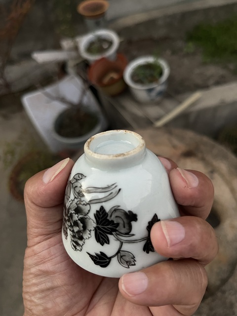 古玩陶瓷墨彩花卉紋杯真品鑒賞圖