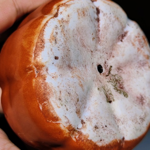 古玩陶瓷民國(guó)·**紅釉像生瓷南瓜精品擺件拍賣，當(dāng)前價(jià)格1280元