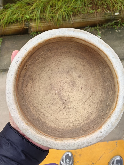 古玩陶瓷哥釉獅耳爐真品鑒賞圖