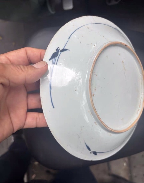 古玩陶瓷青花花卉紋盤真品鑒賞圖