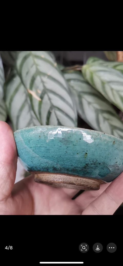 古玩陶瓷華寧窯孔雀藍釉盤真品鑒賞圖