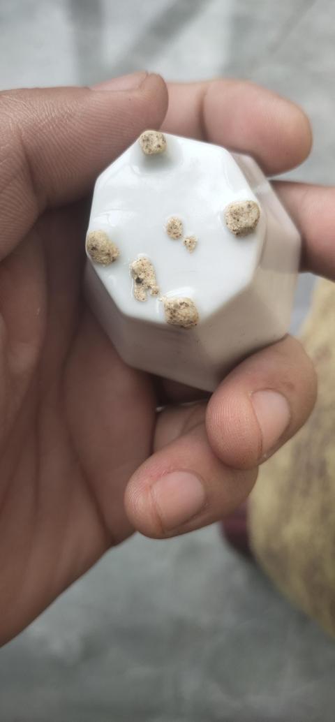 古玩陶瓷德化窯白釉杯真品鑒賞圖