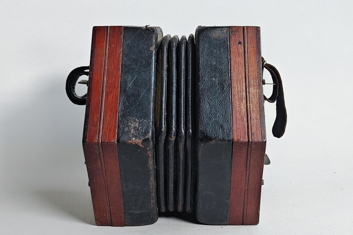 古玩雜項琴真品鑒賞圖