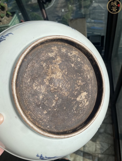 古玩陶瓷青花盤真品鑒賞圖