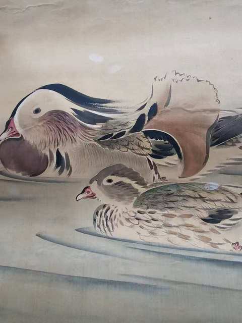 古玩字畫鴛鴦?wù)嫫疯b賞圖