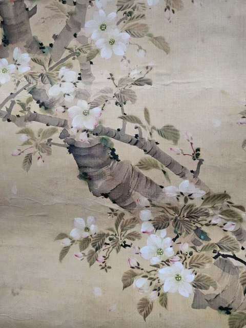 古玩字畫鴛鴦?wù)嫫疯b賞圖