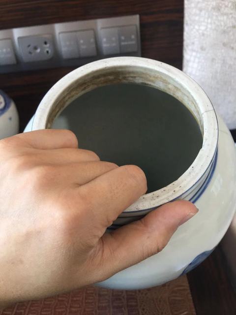 古玩陶瓷鳳尾尊標本真品鑒賞圖