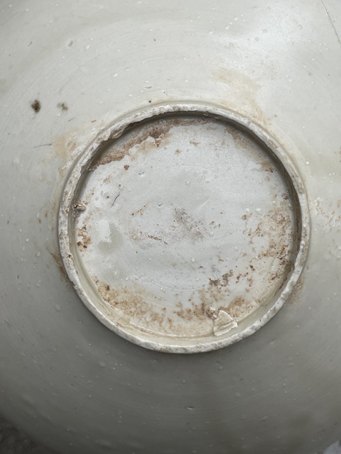 古玩陶瓷宋代·青釉暗刻雙魚紋花口碗 真品鑒賞圖