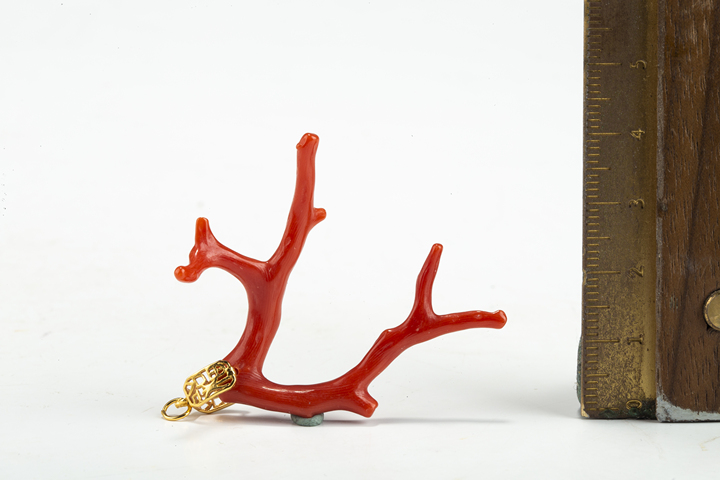 古玩雜項當代·珊瑚隨型吊墜真品鑒賞圖