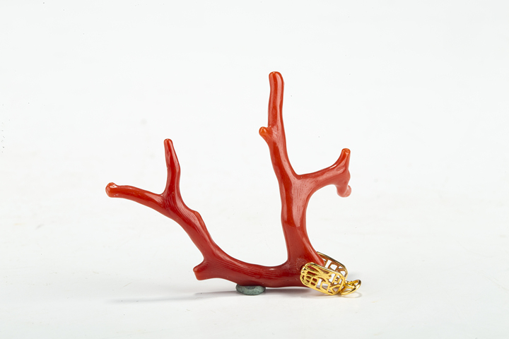 古玩雜項當代·珊瑚隨型吊墜真品鑒賞圖