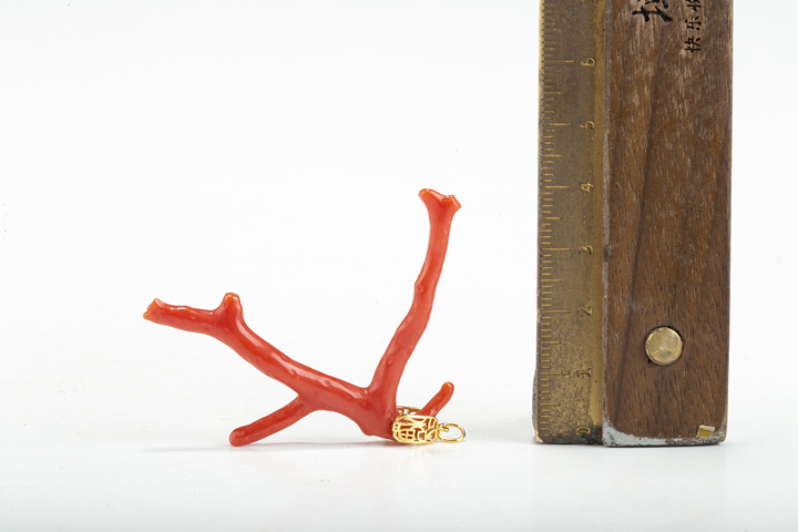 古玩雜項當代·珊瑚隨型吊墜真品鑒賞圖
